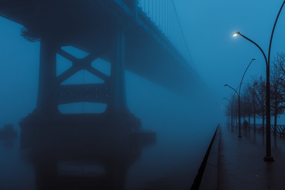 Benjamin Franklin Bridge - Leland Foster