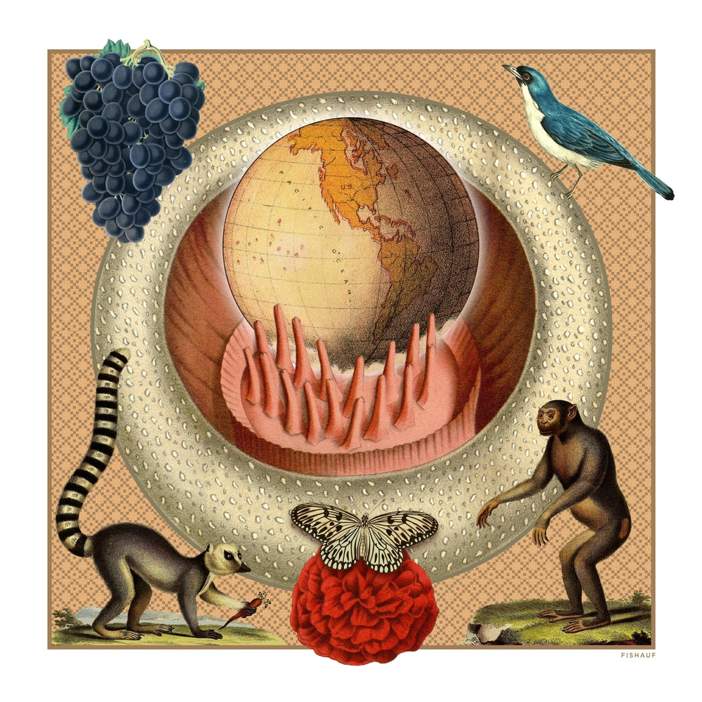 TERRA - Louis Fishauf