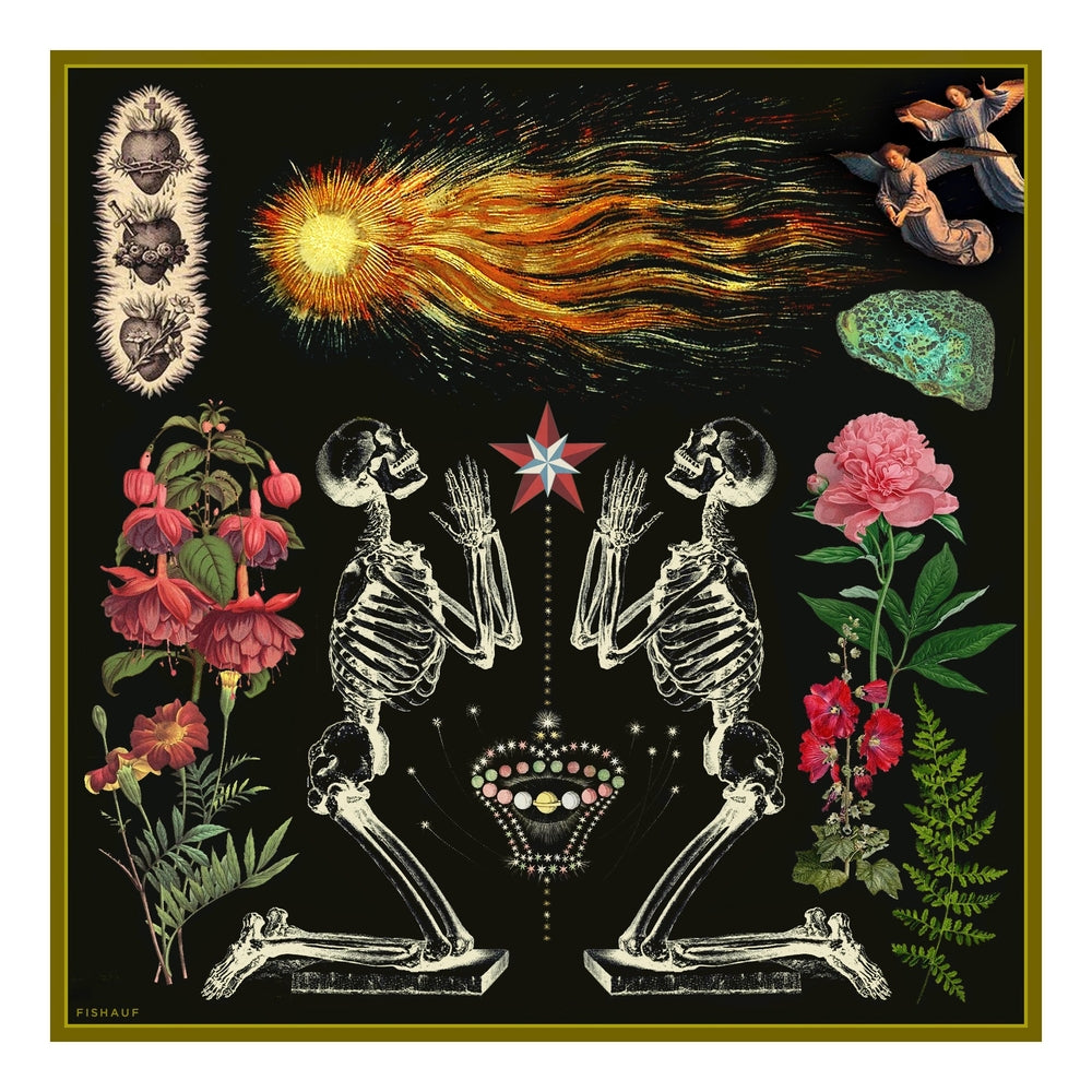 COMET - Louis Fishauf