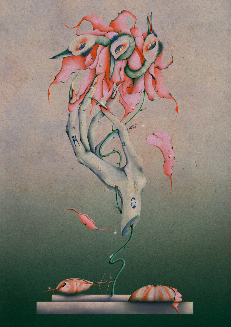 Éclosion Marine - Monna Graph