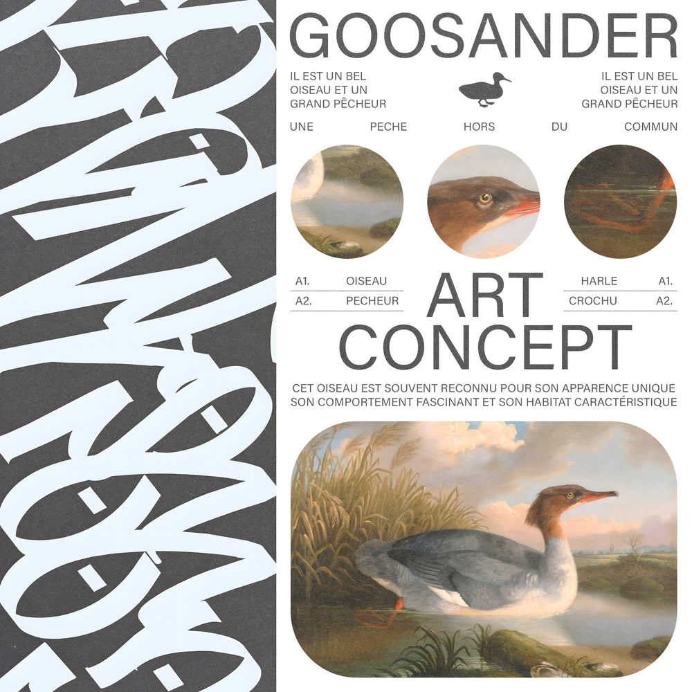 Goosander - Matéo Mace