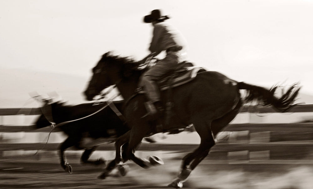 Full Speed - Michael Potter