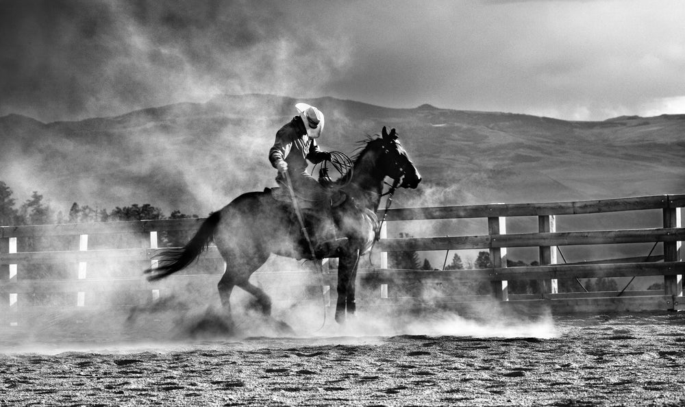 Heat and Dust - Michael Potter