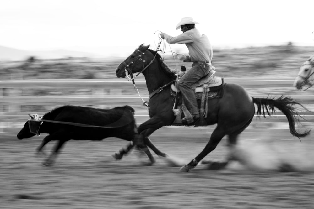 Roping - Michael Potter