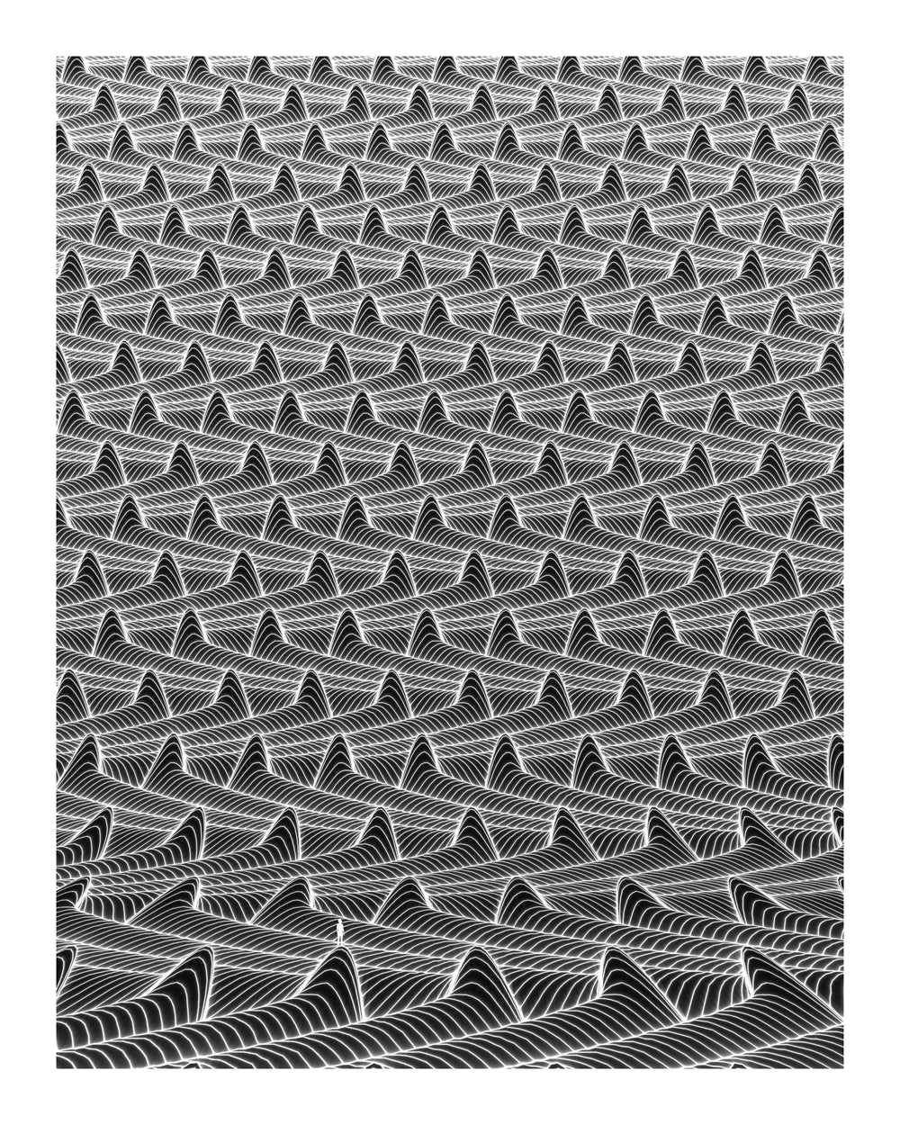 Illumination Harvest - Michael Strevens