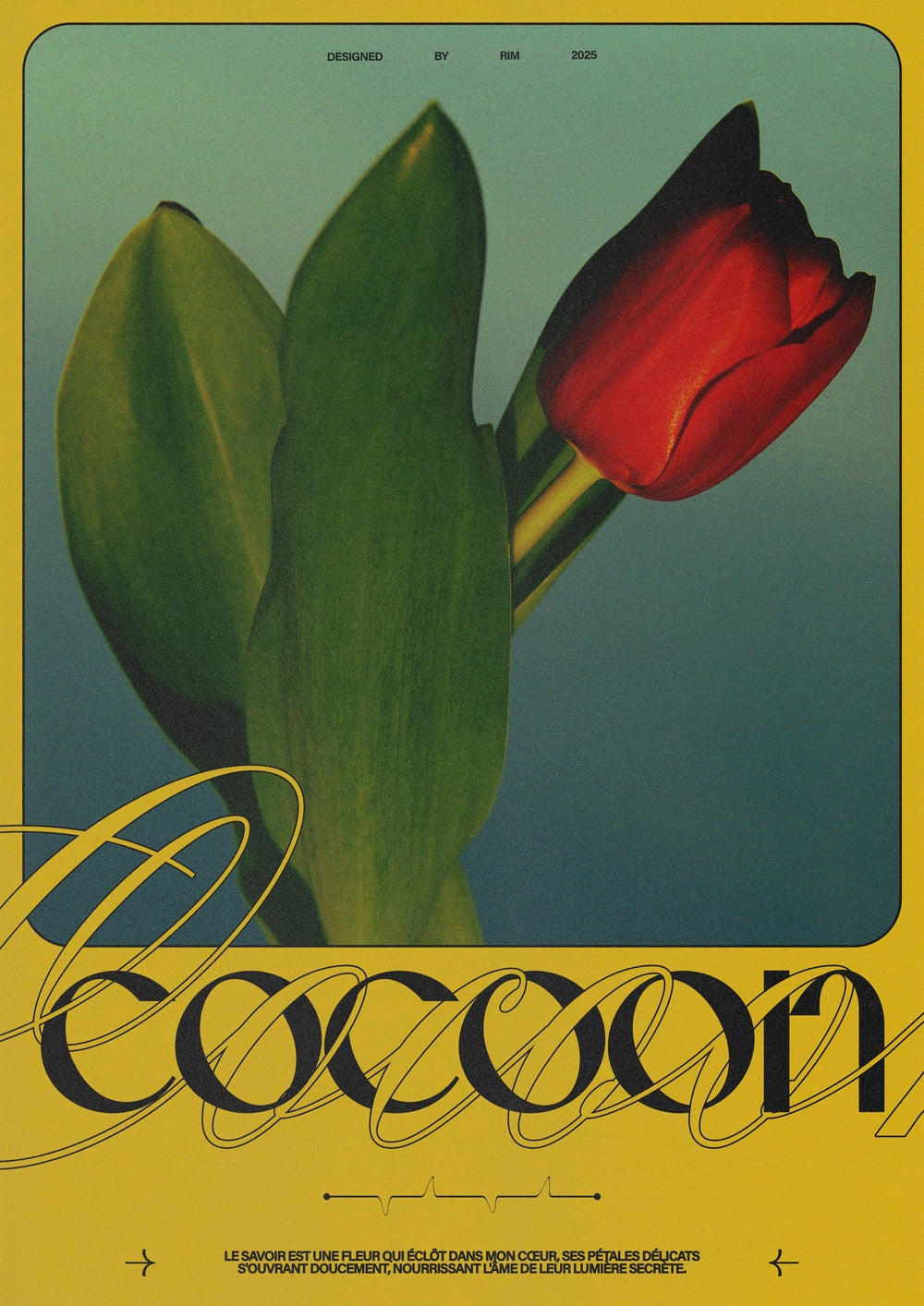 COCOON - Rīm Atelier