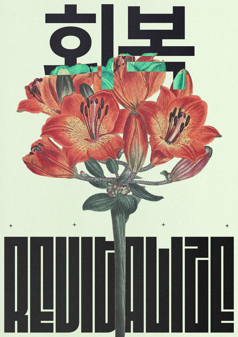 REVITALIZE - Rīm Atelier