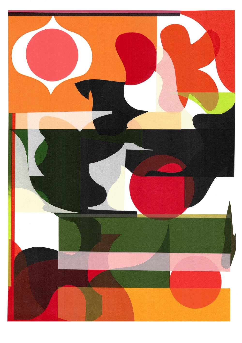 Paloma - Rikki Hewitt