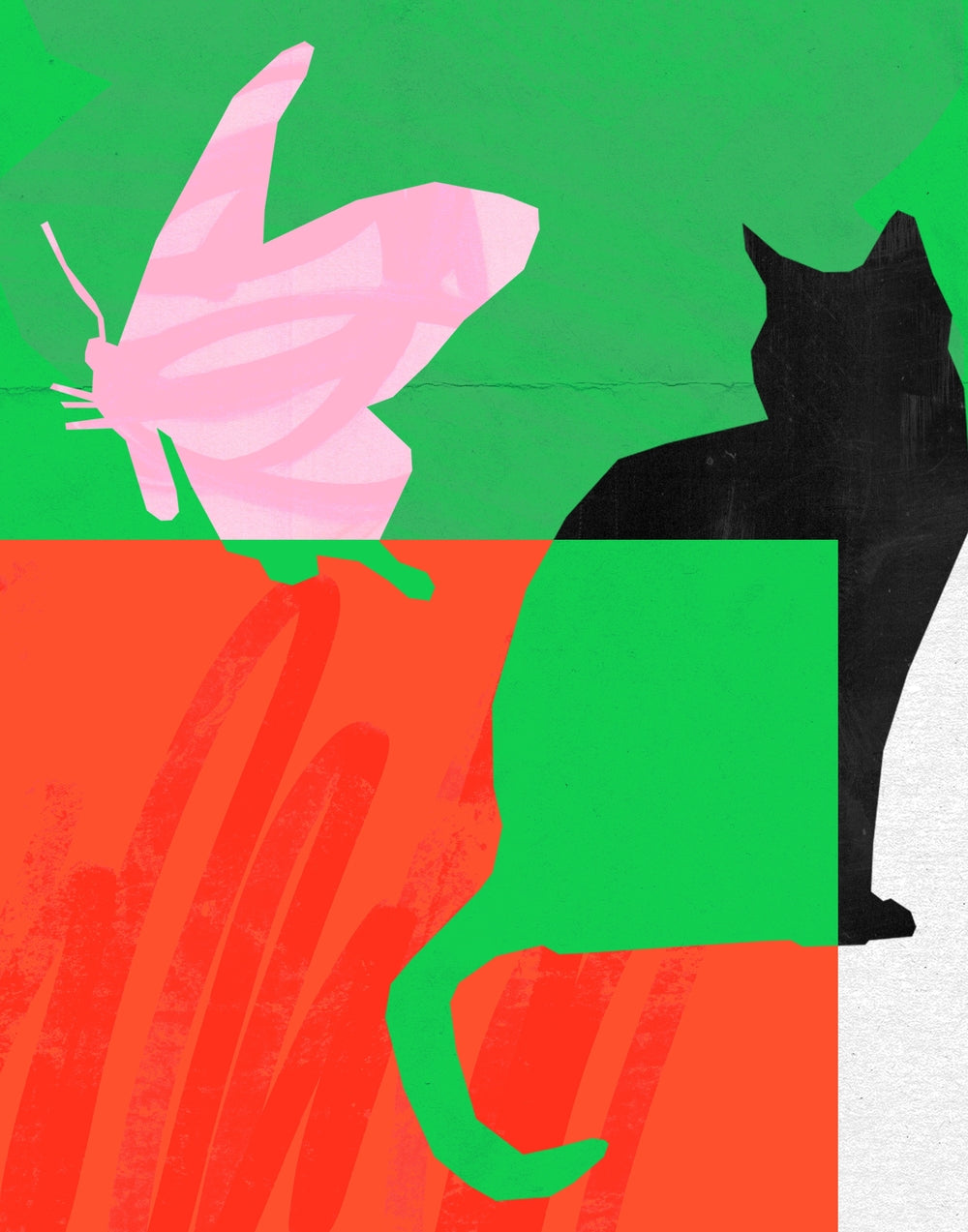 Cat and Butterfly - Sian Roper