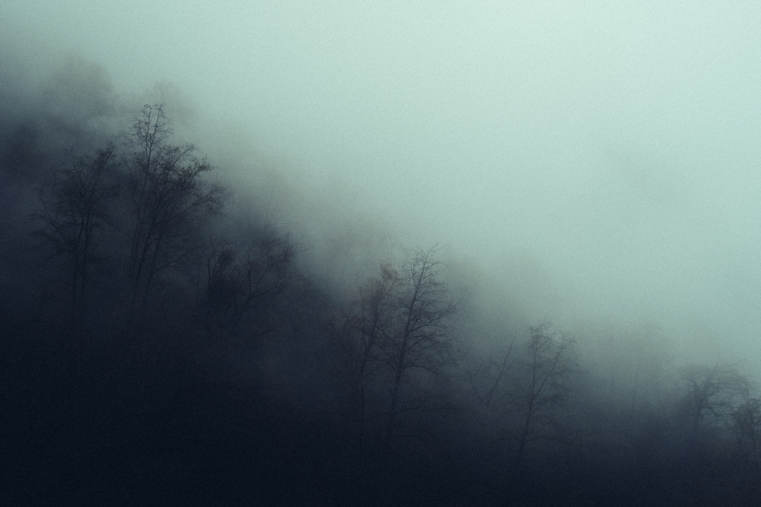 Langtang - Valentin Meaux