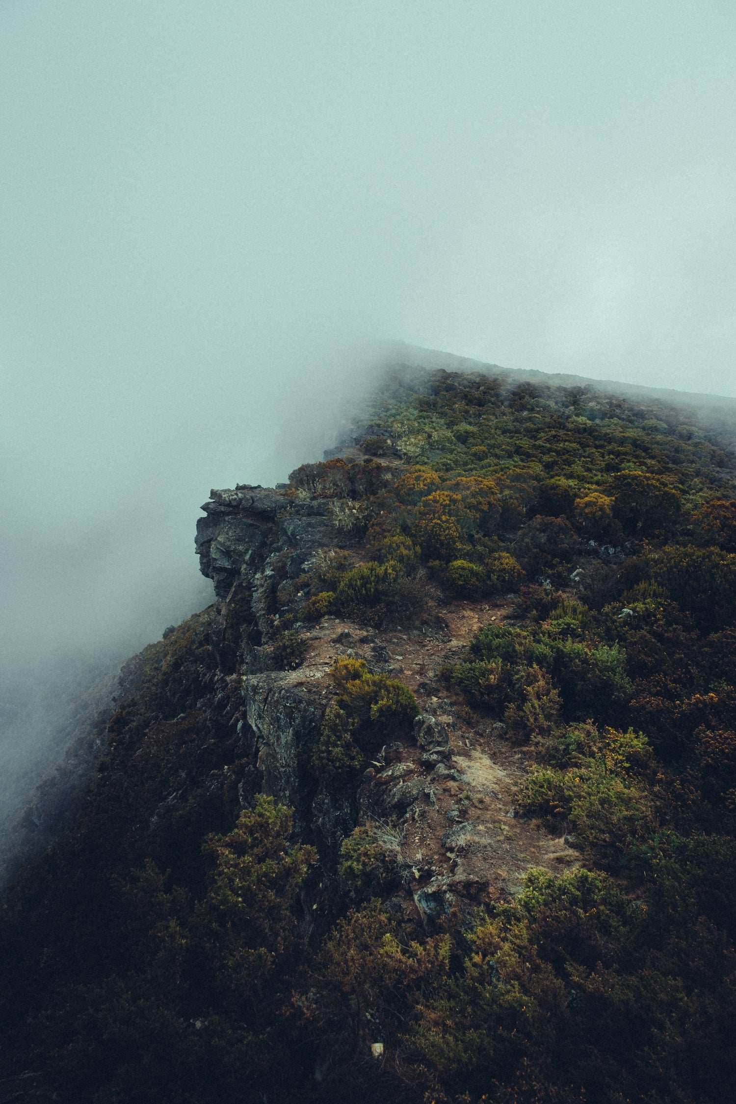 Mafate - Valentin Meaux