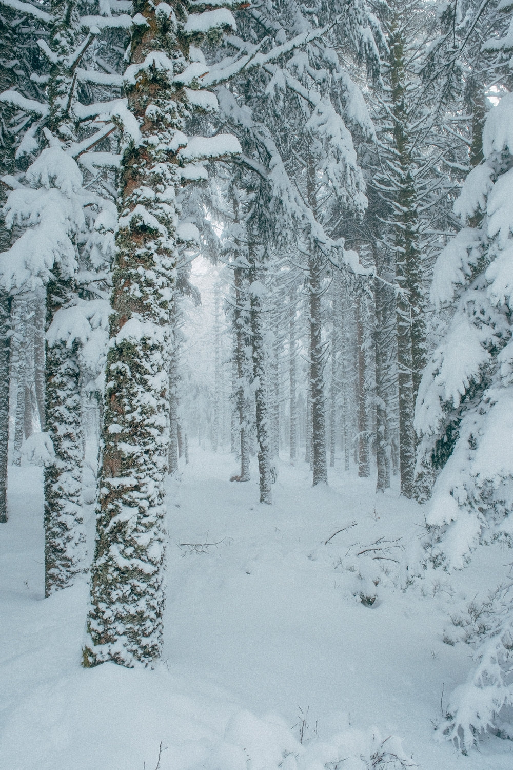 Snowdonia - Valentin Meaux