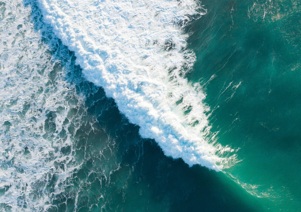 Ralgan III, New Zealand - Victoria Benjafield