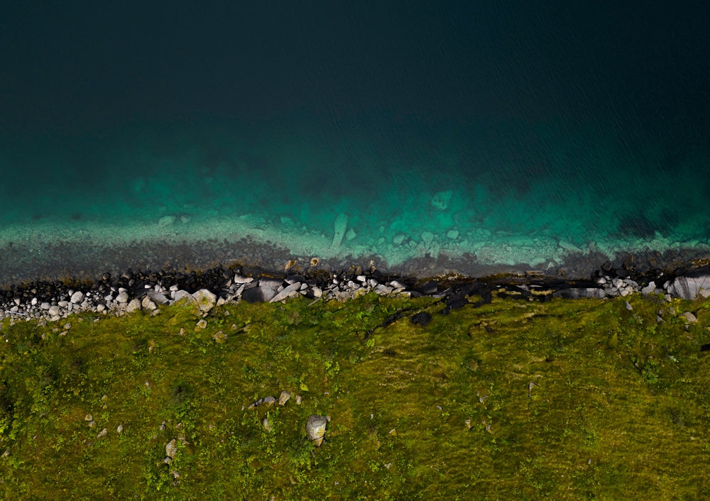 Reine III - Victoria Benjafield