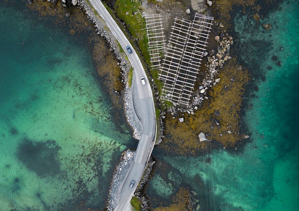 Reine V - Victoria Benjafield