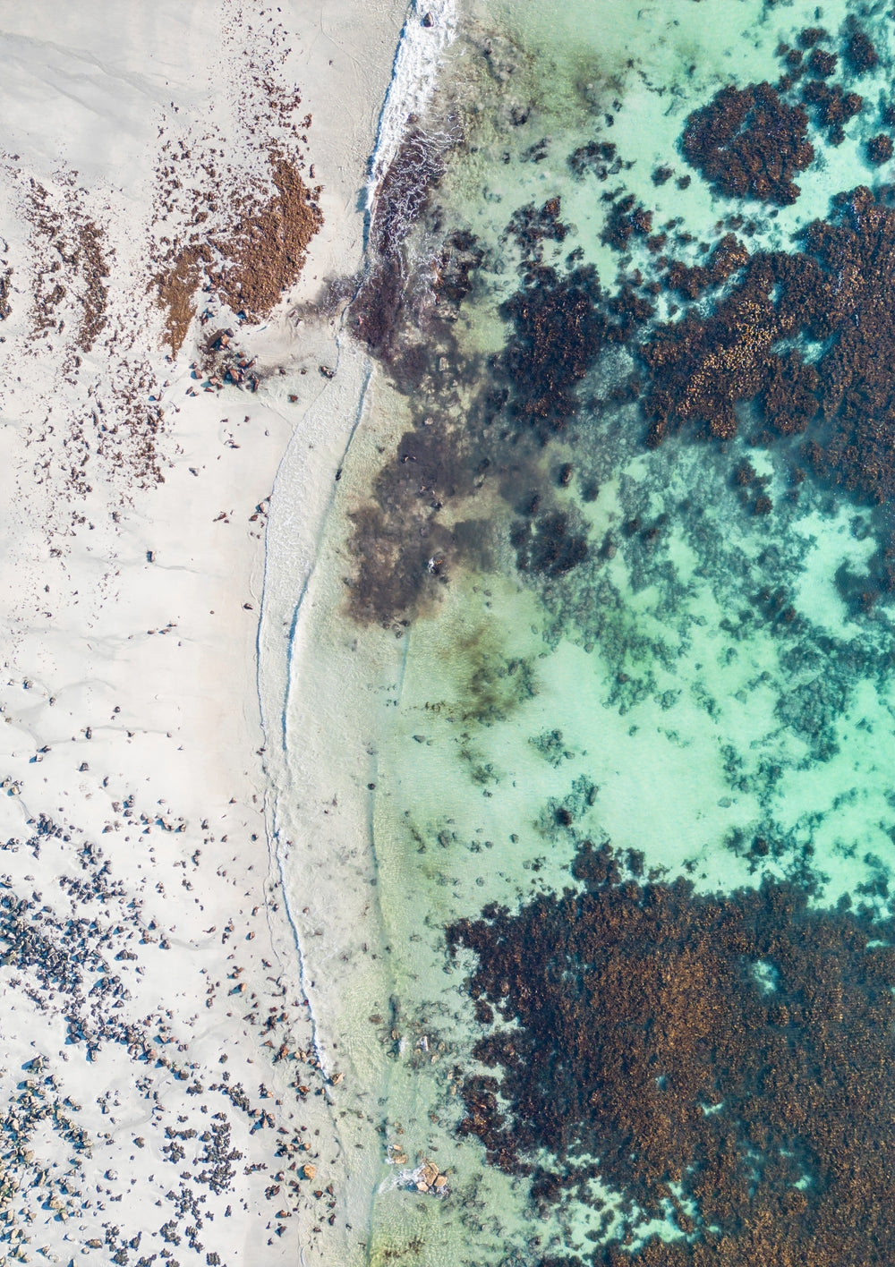 Uttakliev II - Victoria Benjafield