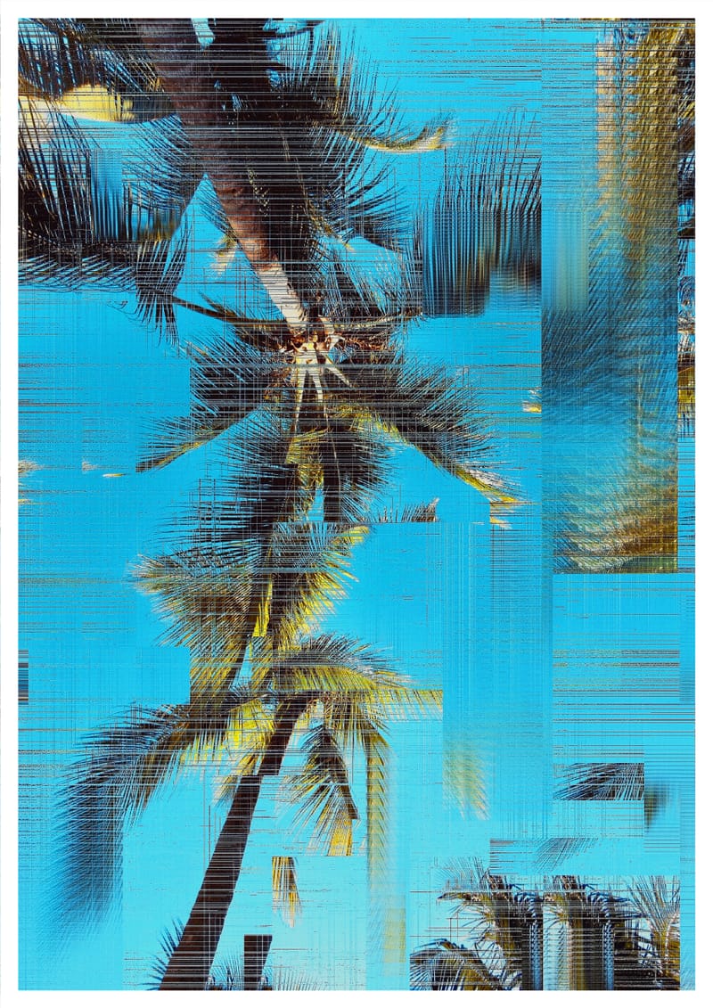 Arecaceae | Glitch 26.426 - Aaron Borchardt