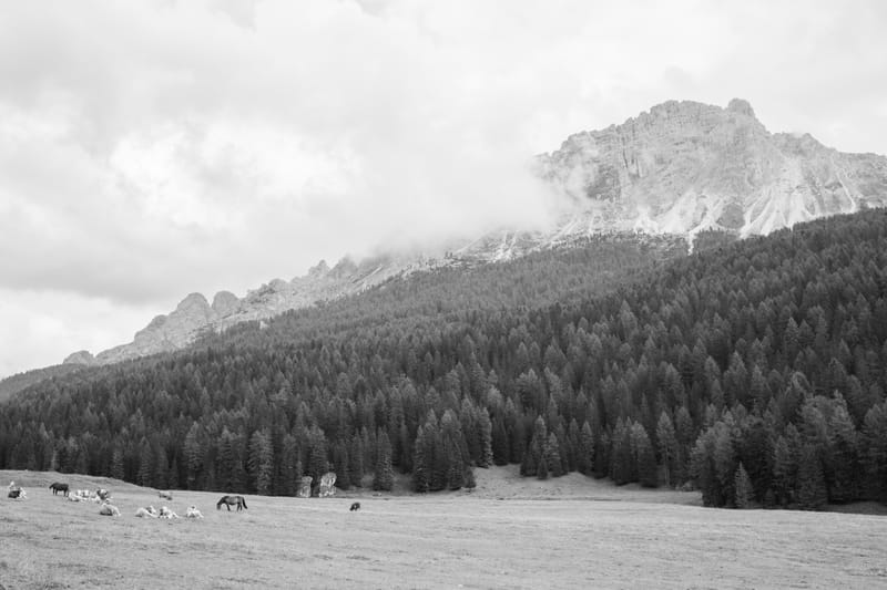 Italian Alpine Scenery - Christina Bedetta Willett