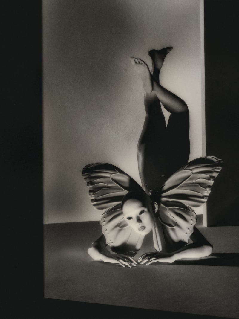 Metamorphosis Phase I - Denisa Rahma