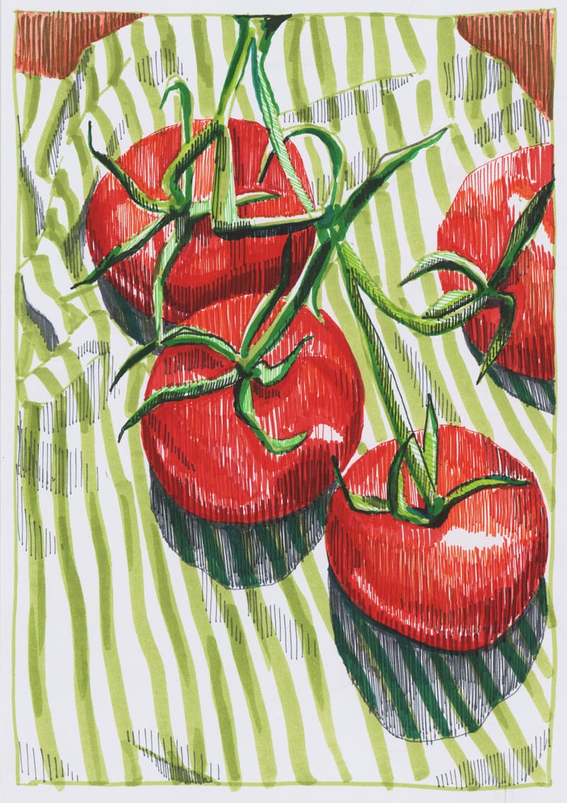 Vine Tomatoes - Emma Louise