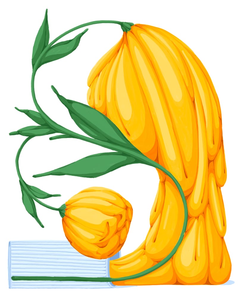 Melting Flower II - Flo Meissner