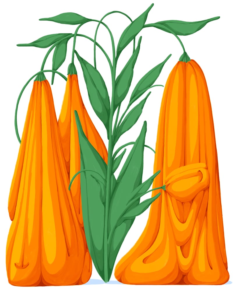 Melting Flower VII - Flo Meissner