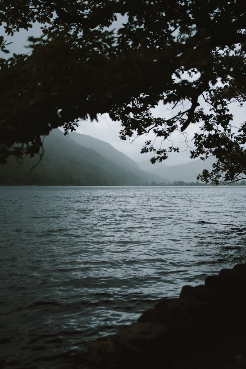 Misty Lake Morning - Jonny Gleason
