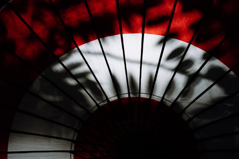The Traditional Japanese Umbrella - Jonny Gleason
