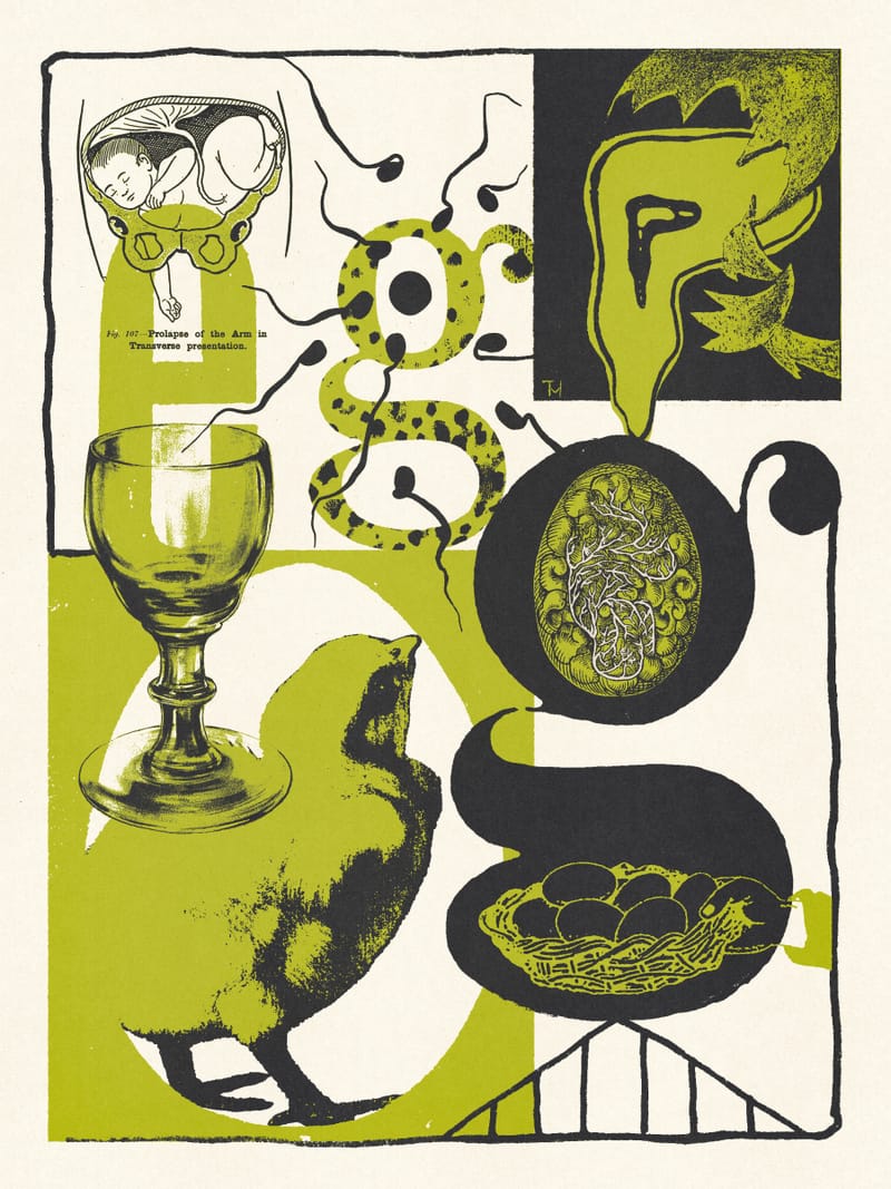Egg - Mateus Teixeira