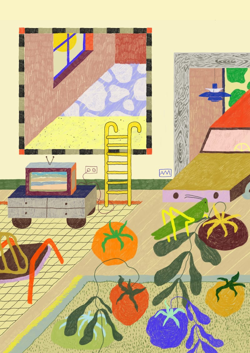 HOME AWAY FROM HOME (AUGUST EDITION) - projekt AM