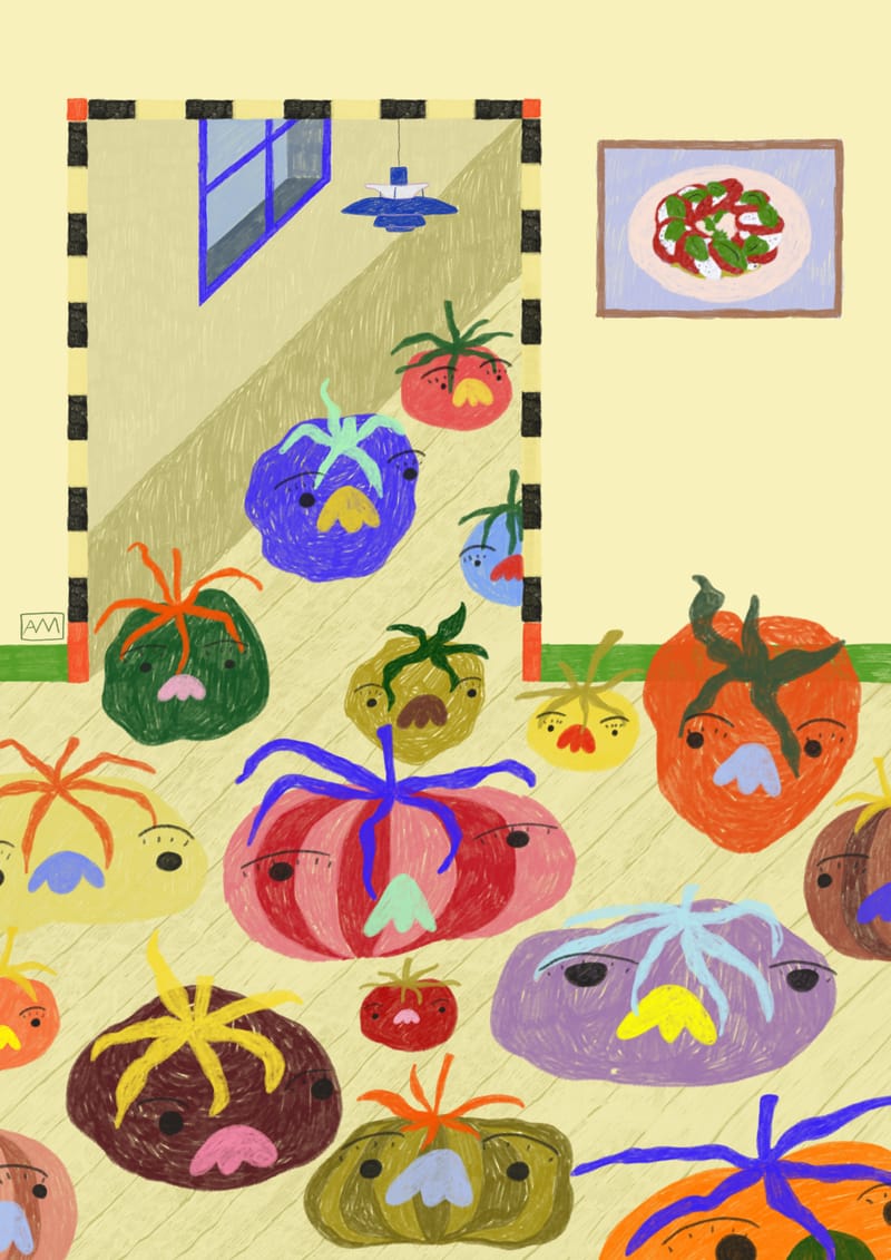 TOMATO SEASON - projekt AM