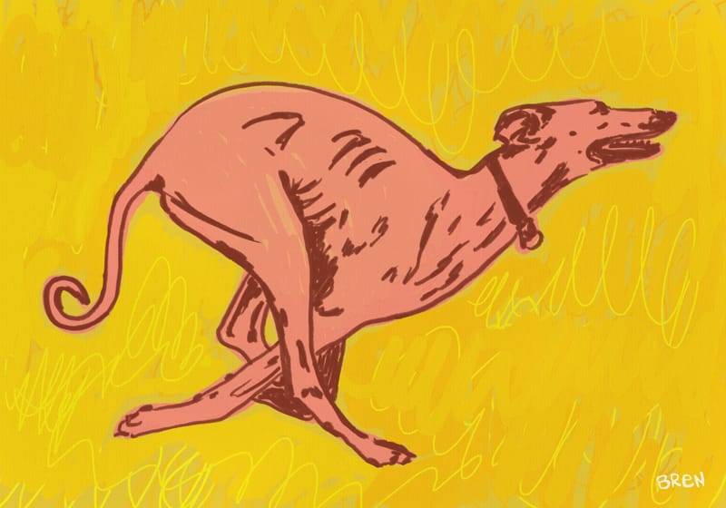 Greyhound Running - Scared of Moths