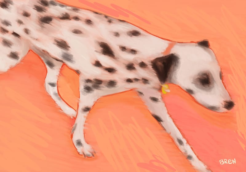 Running Dalmation - Scared of Moths