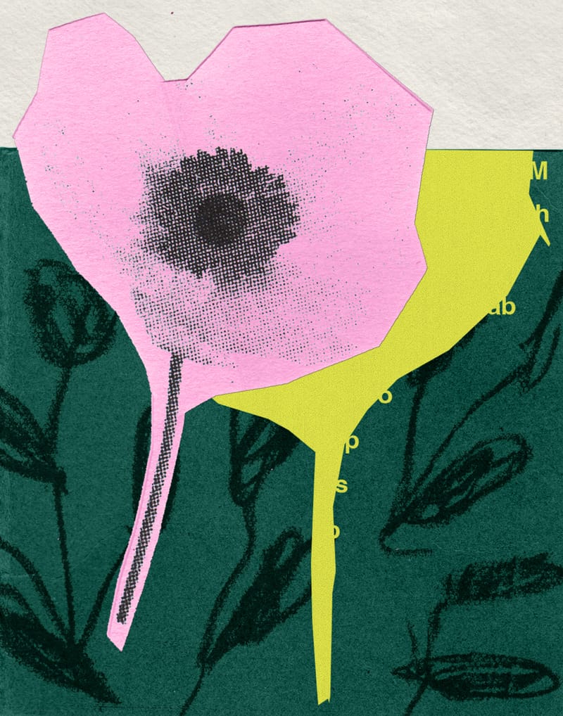 Anemone Flower - Sian Roper