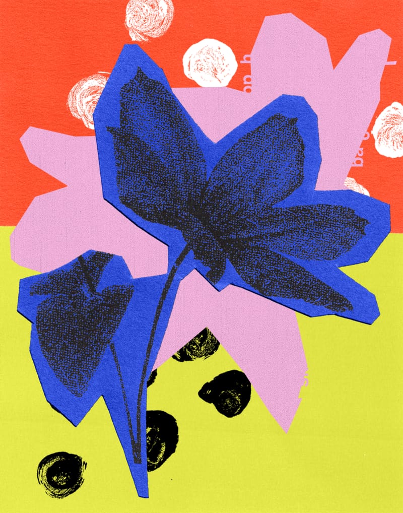 Clematis Flower - Sian Roper