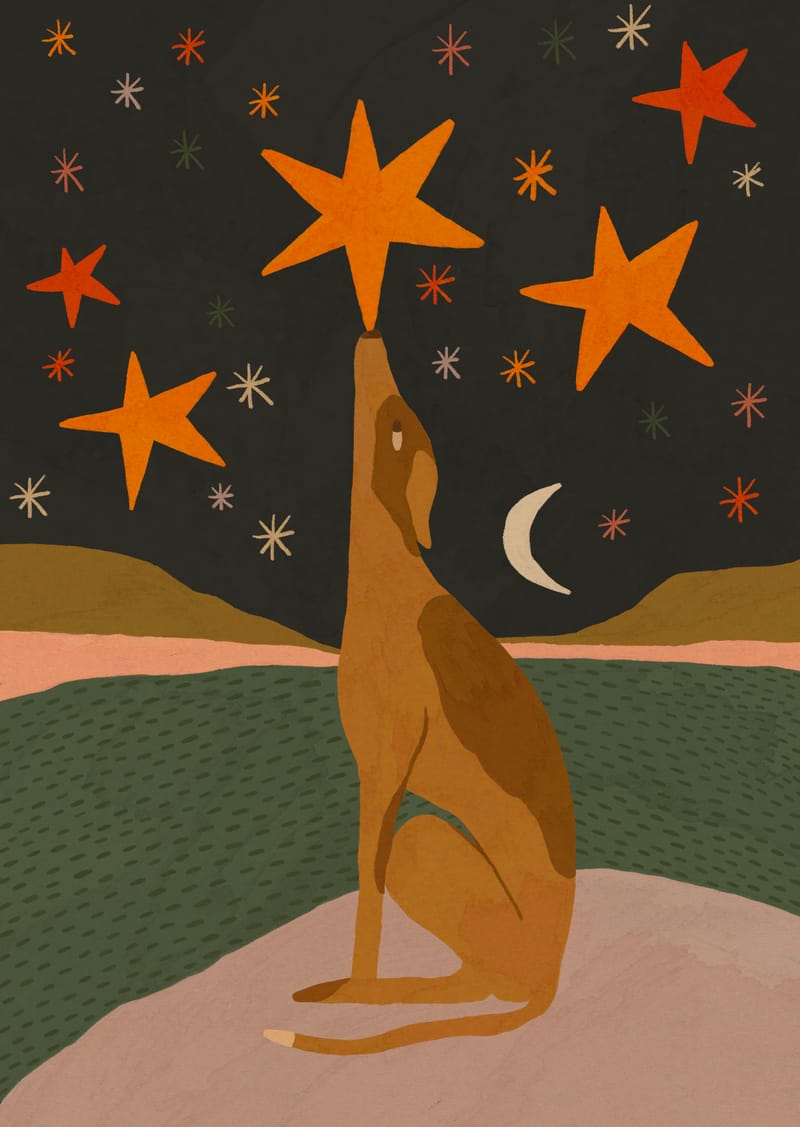 Balance - Sophie Deller