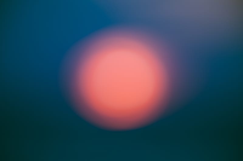 20230509 A Farewell to Day 6.2 - Tal Paz-Fridman