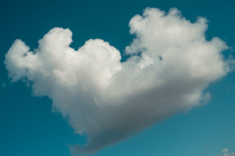 Heart of Cloud - Tal Paz-Fridman