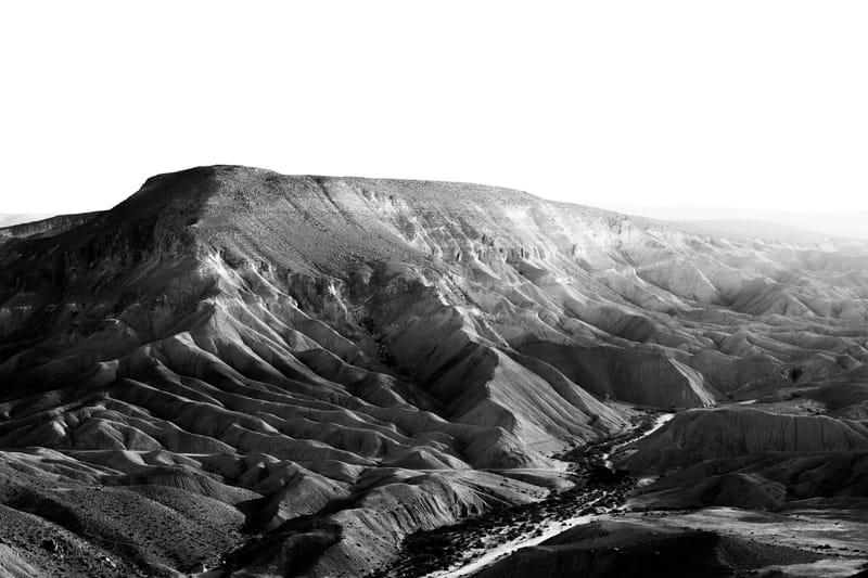 Nahal Zin - Tal Paz-Fridman