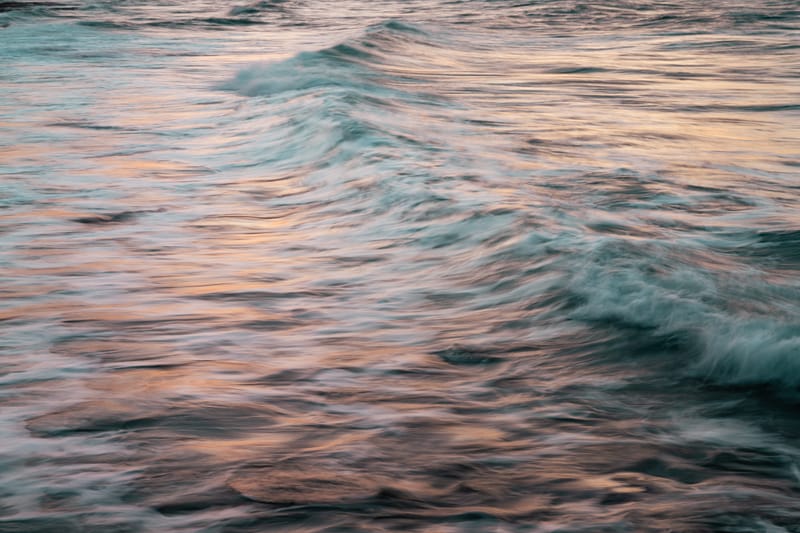 The Uniqueness of Waves XXXVI - Tal Paz-Fridman