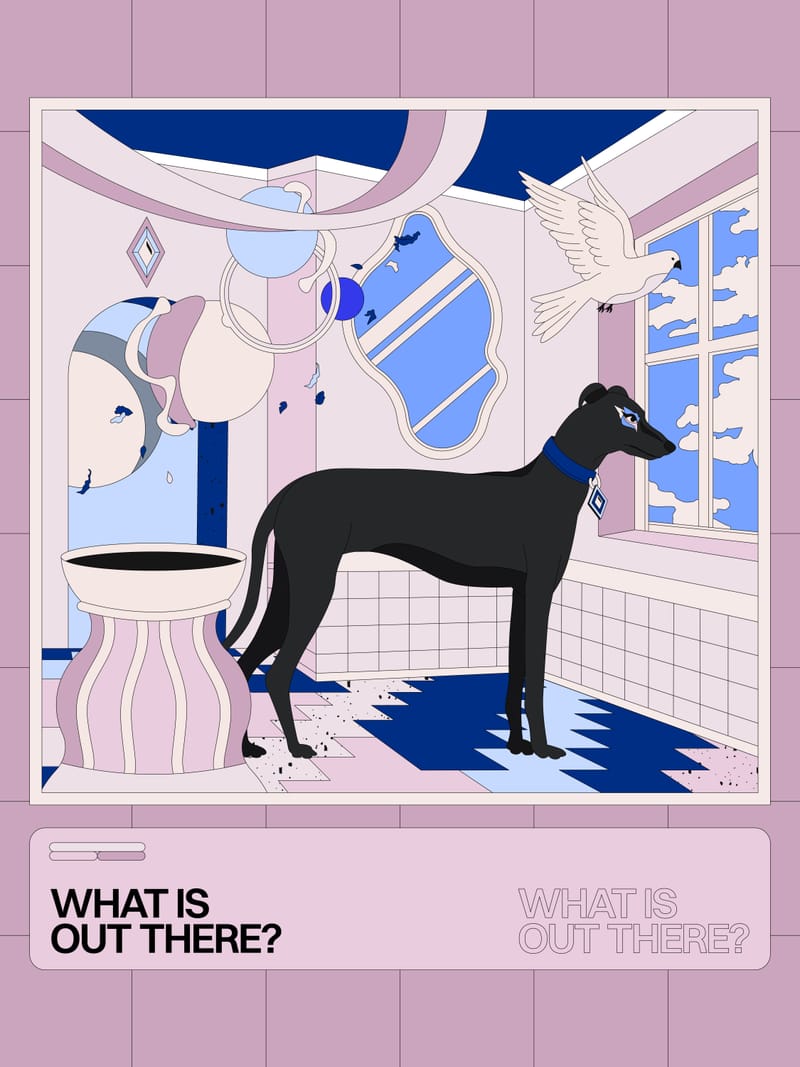 What Is Out There? - Vladimir Hadžić