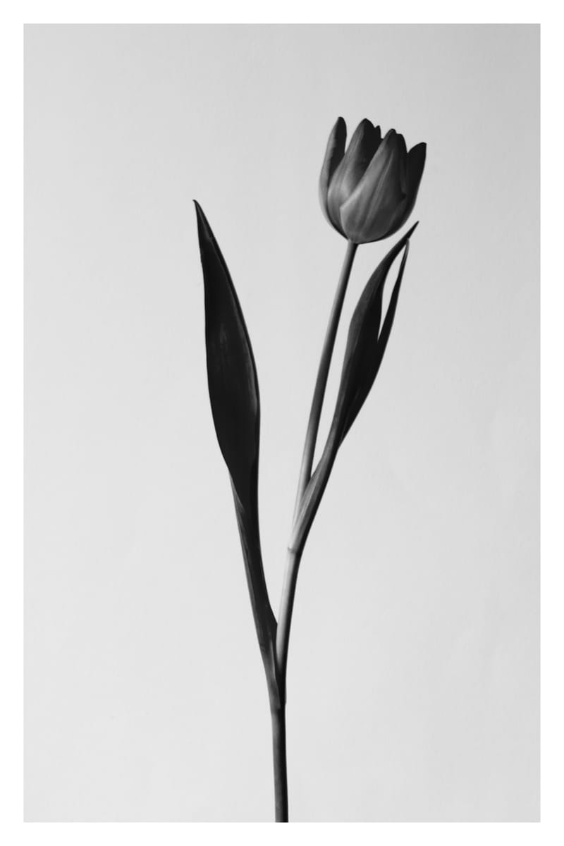 Balanced Form #3 - Will Arden