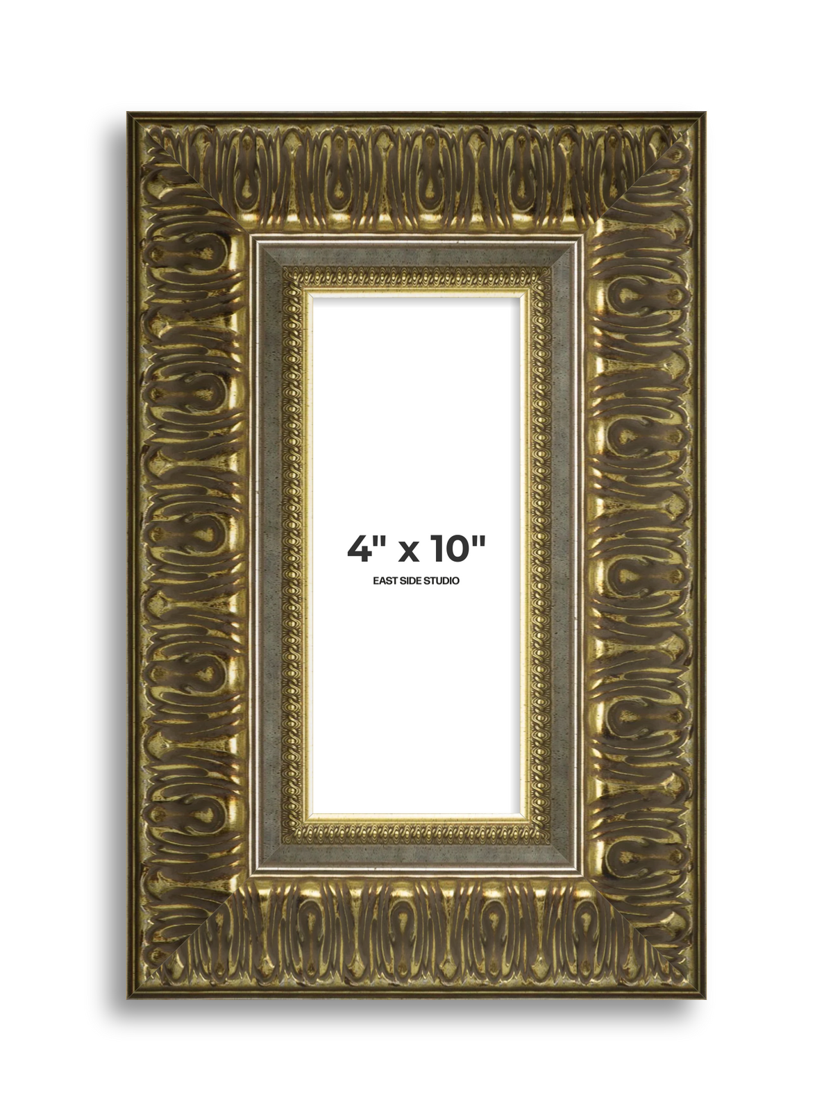 Volute Silver Gold 4" x 10" picture frame