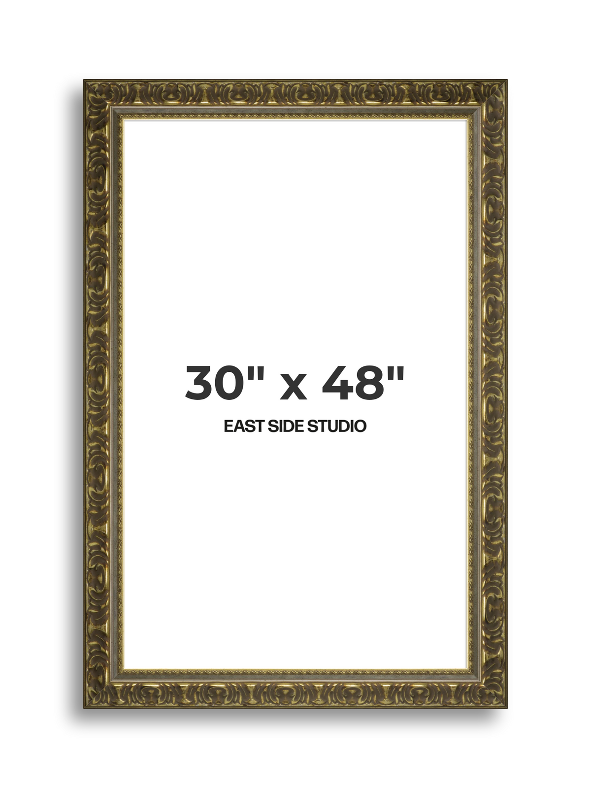 Volute Silver Gold 30" x 48" picture frame