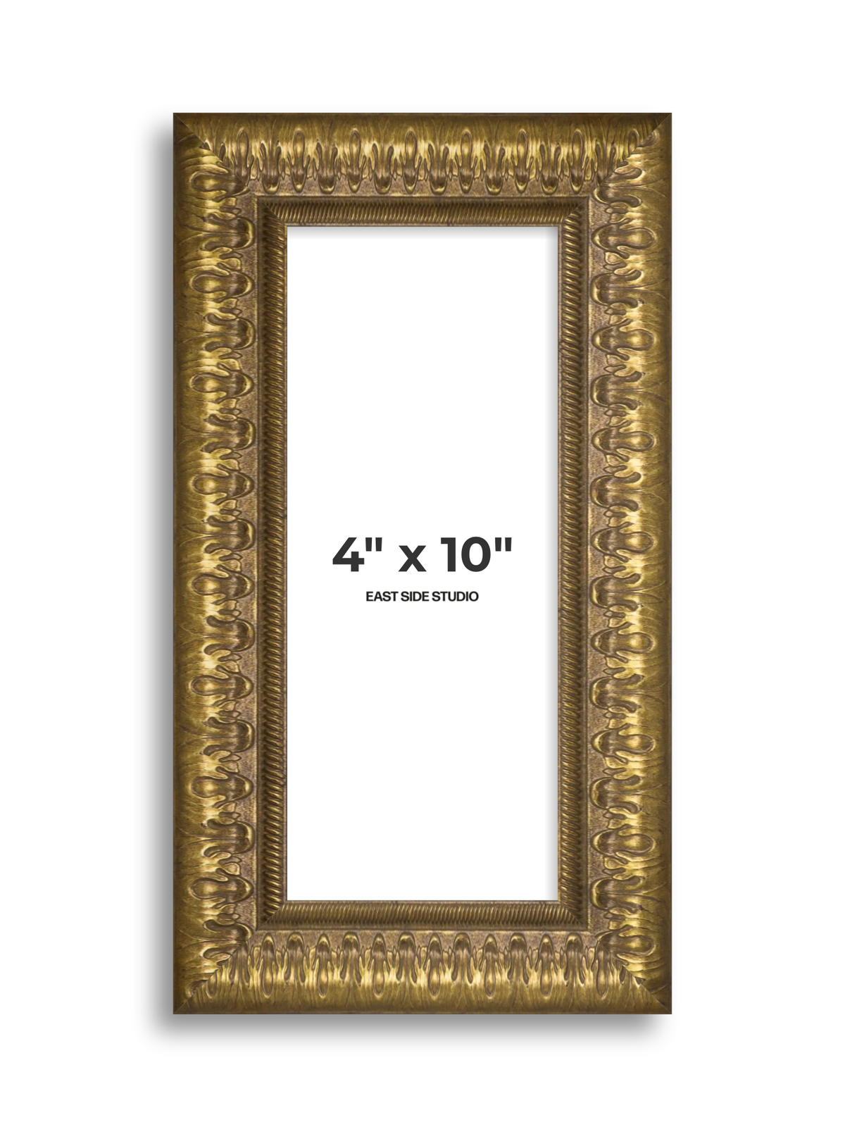 Plume Gold 4" x 10" picture frame