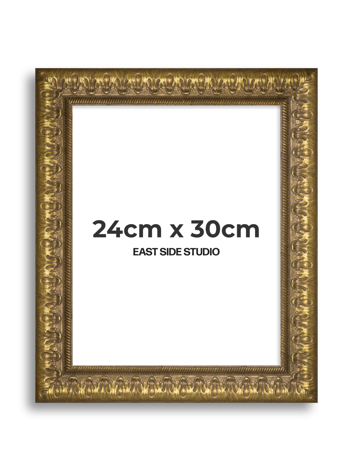 Plume Gold 24cm x 30cm picture frame