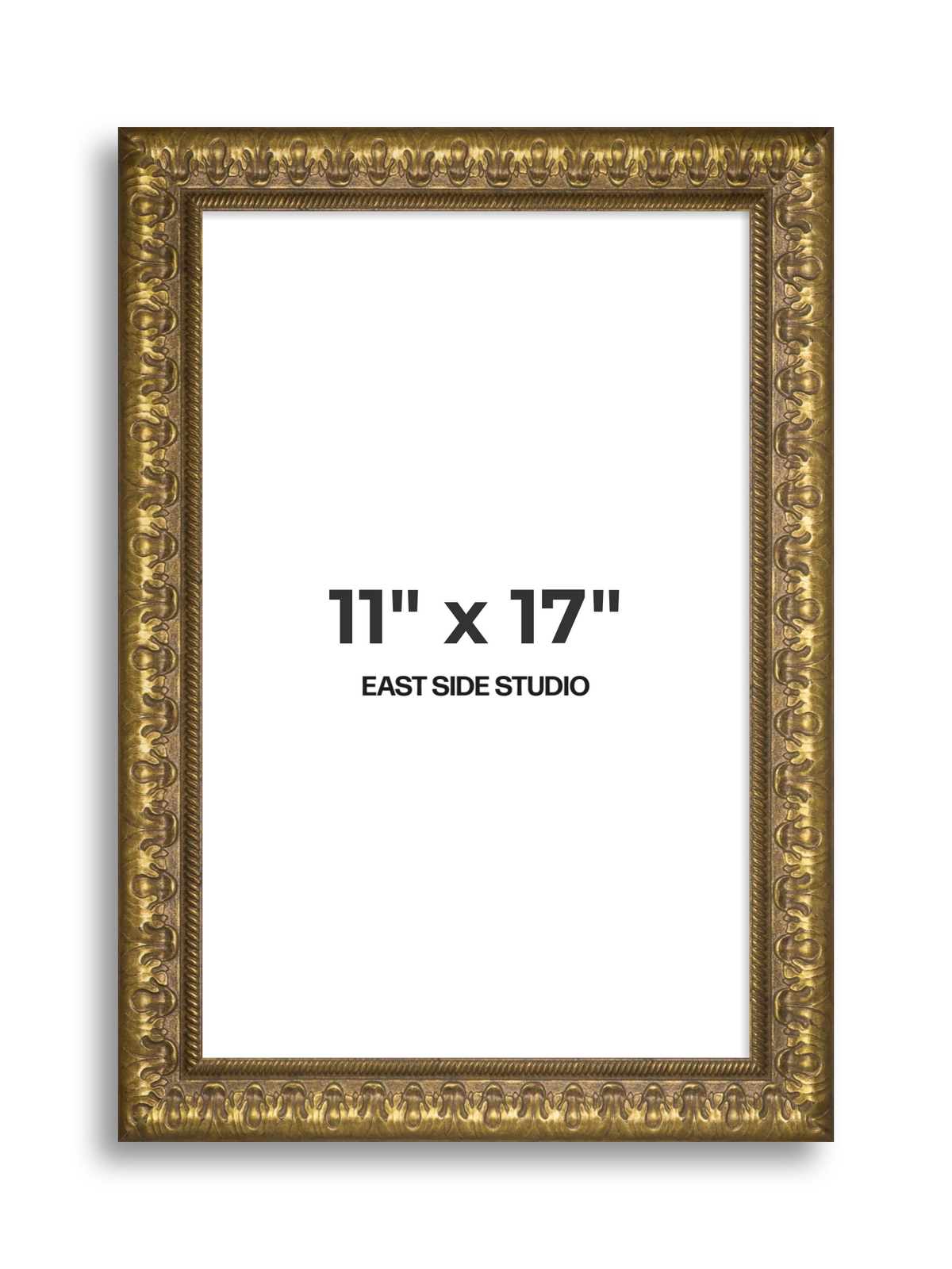 Plume Gold 11" x 17" picture frame