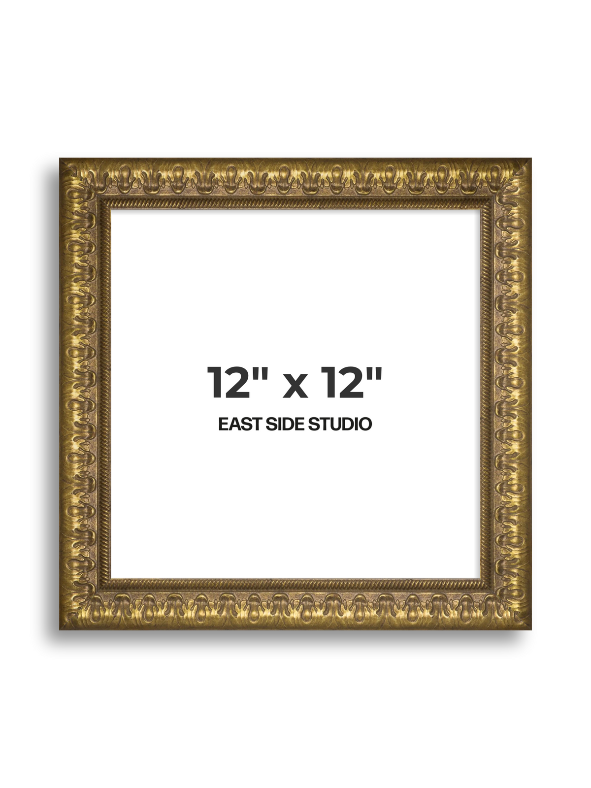 Plume Gold 12" x 12" picture frame
