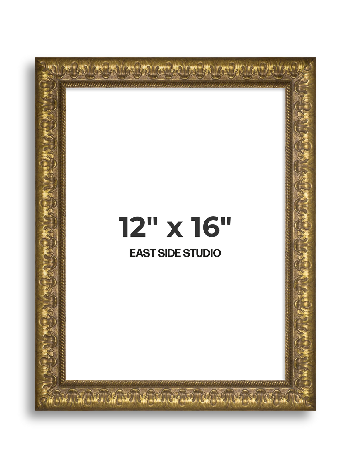 Plume Gold 12" x 16" picture frame