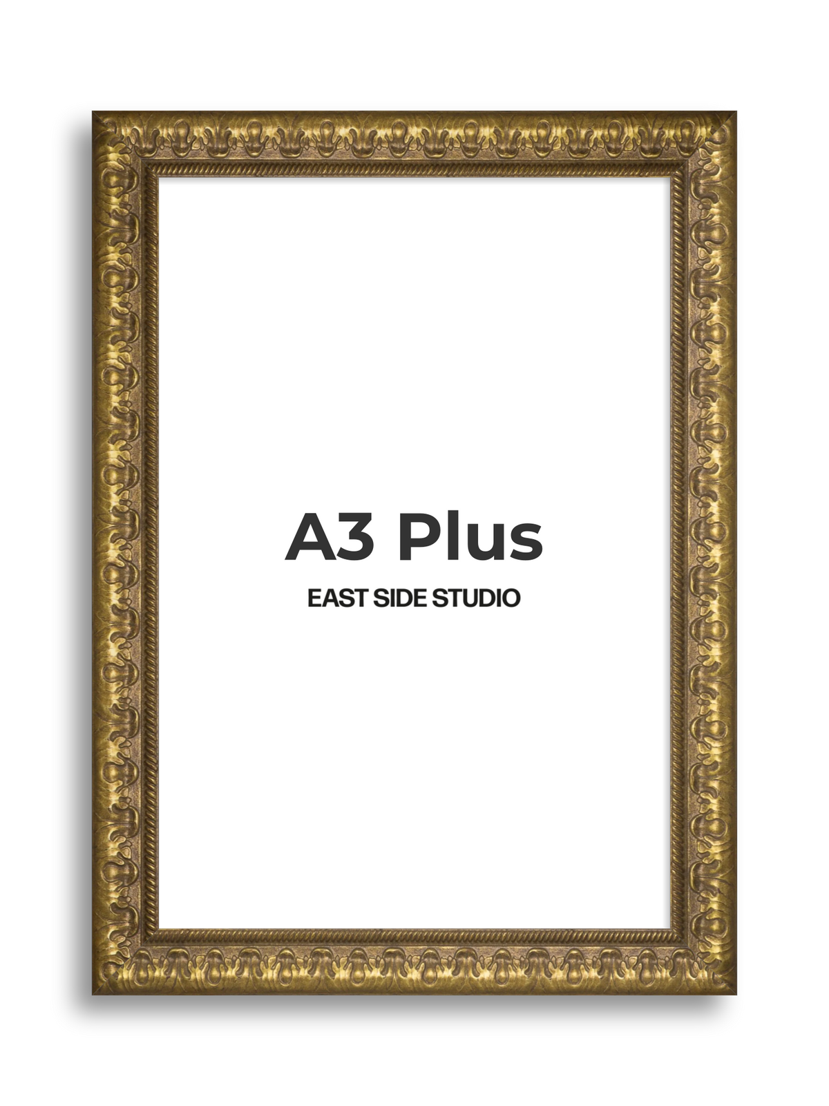 Plume Gold A3 Plus picture frame